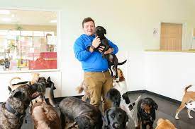 Metro Animals reviews