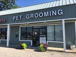 Broad Ripple Canine Design reviews