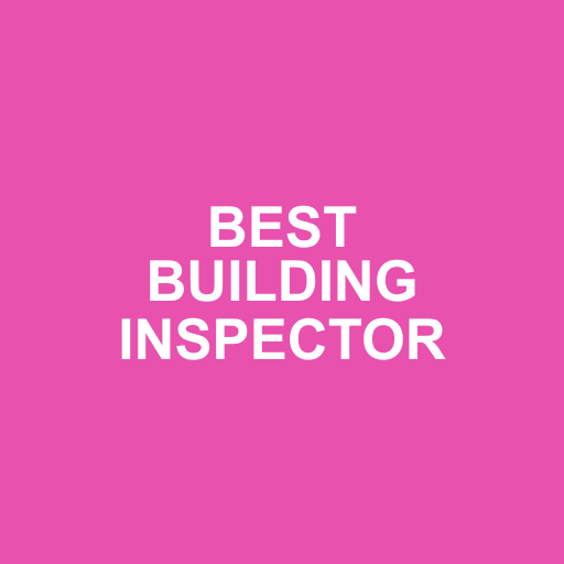INSPECTORS photo