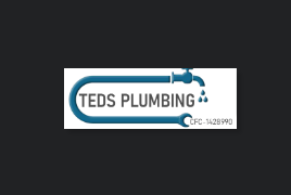 Ted's Plumbing Company reviews