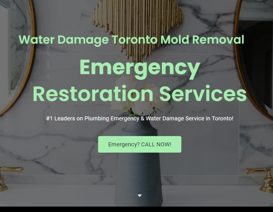 Water Damage Toronto Mold Removal Inc. reviews