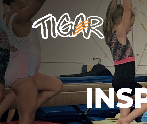 TIGAR Gymnastics reviews