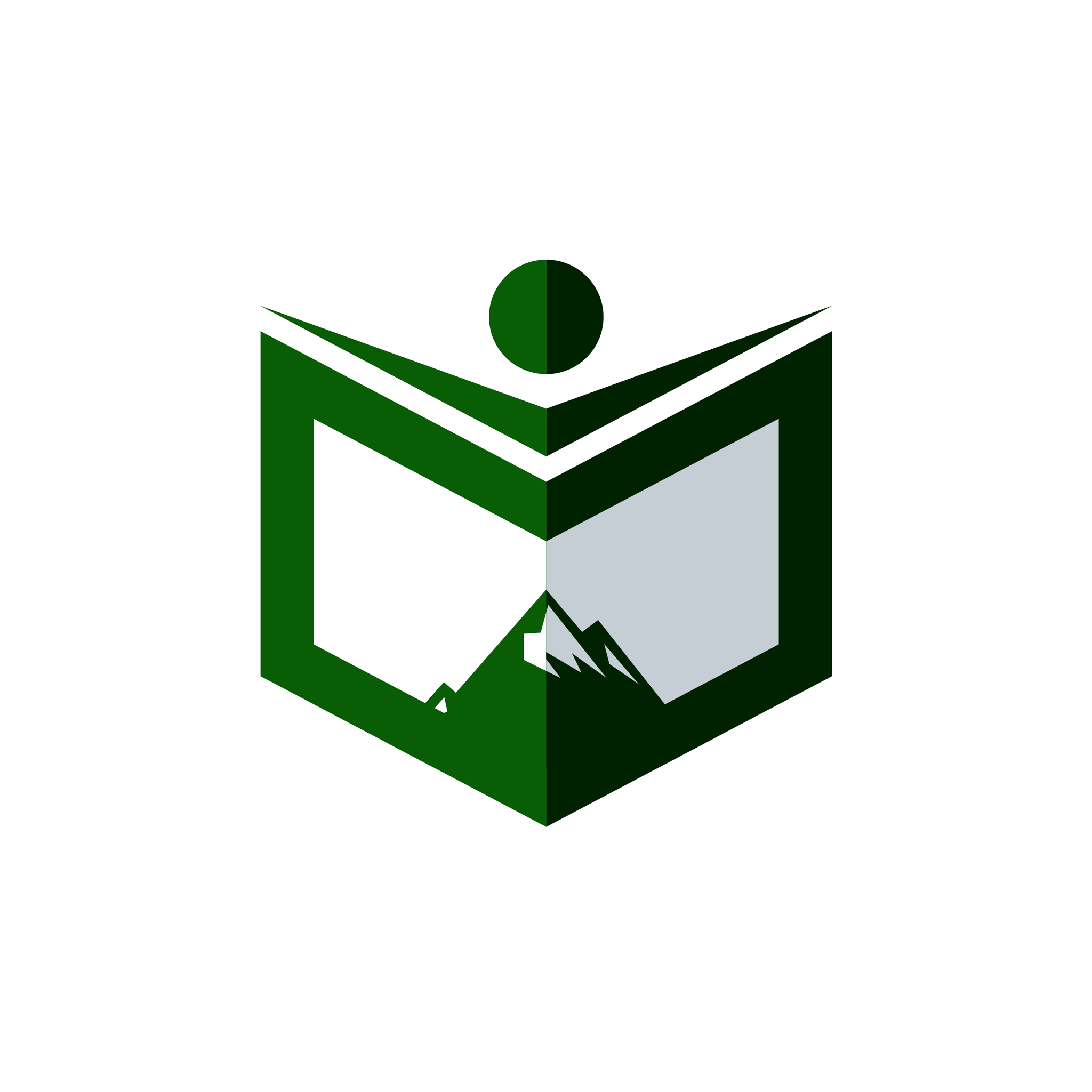 Seattle Literacy reviews