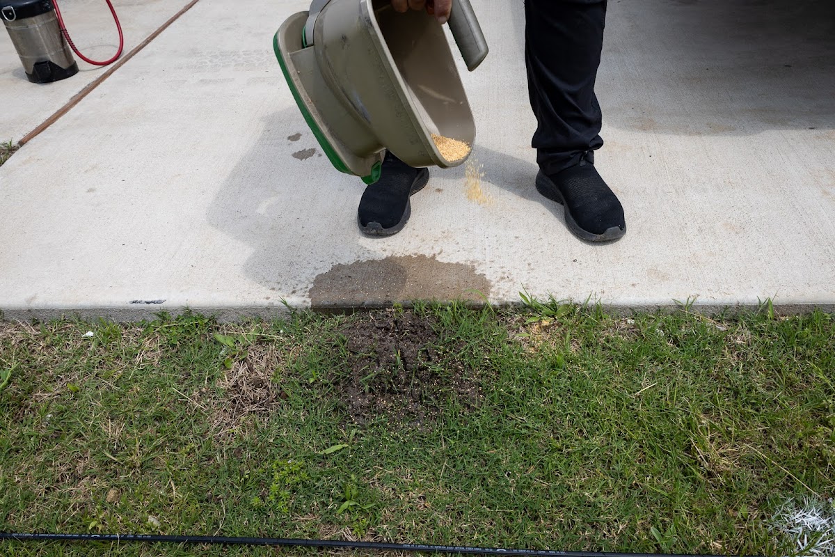 Vinx Pest Control - Charleston photo