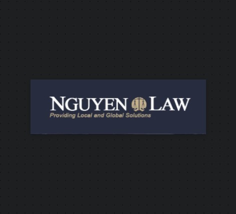 Nguyen Law, LLC - David Hoa Khoa Nguyen, Attorney at Law reviews