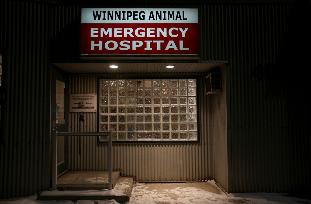 Winnipeg Animal Emergency Hospital reviews