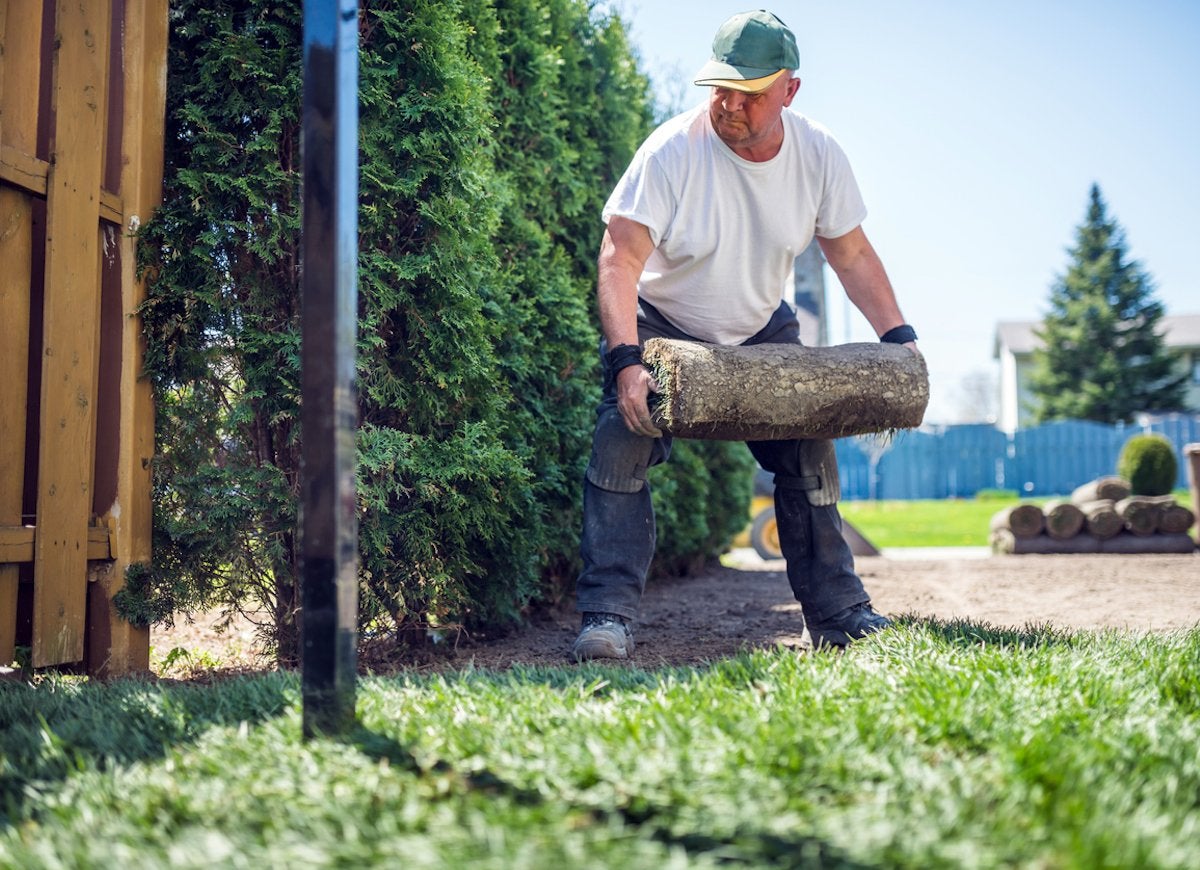 Mirage Landscaping Inc reviews