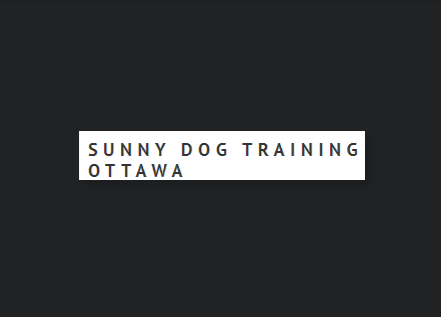 Sunny Dog Training Ottawa reviews