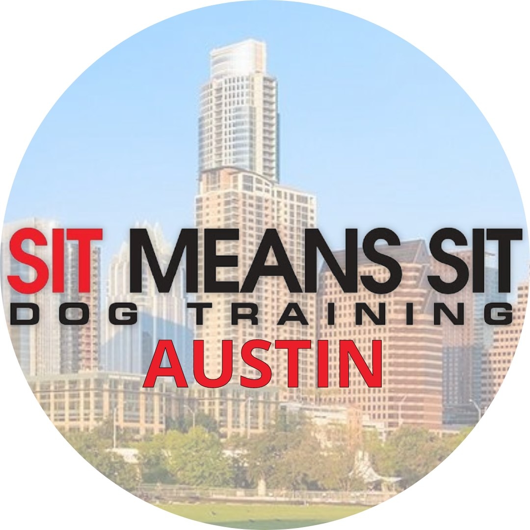 Sit Means Sit South Austin reviews