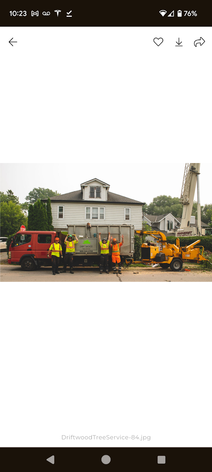 Driftwood Tree Service reviews