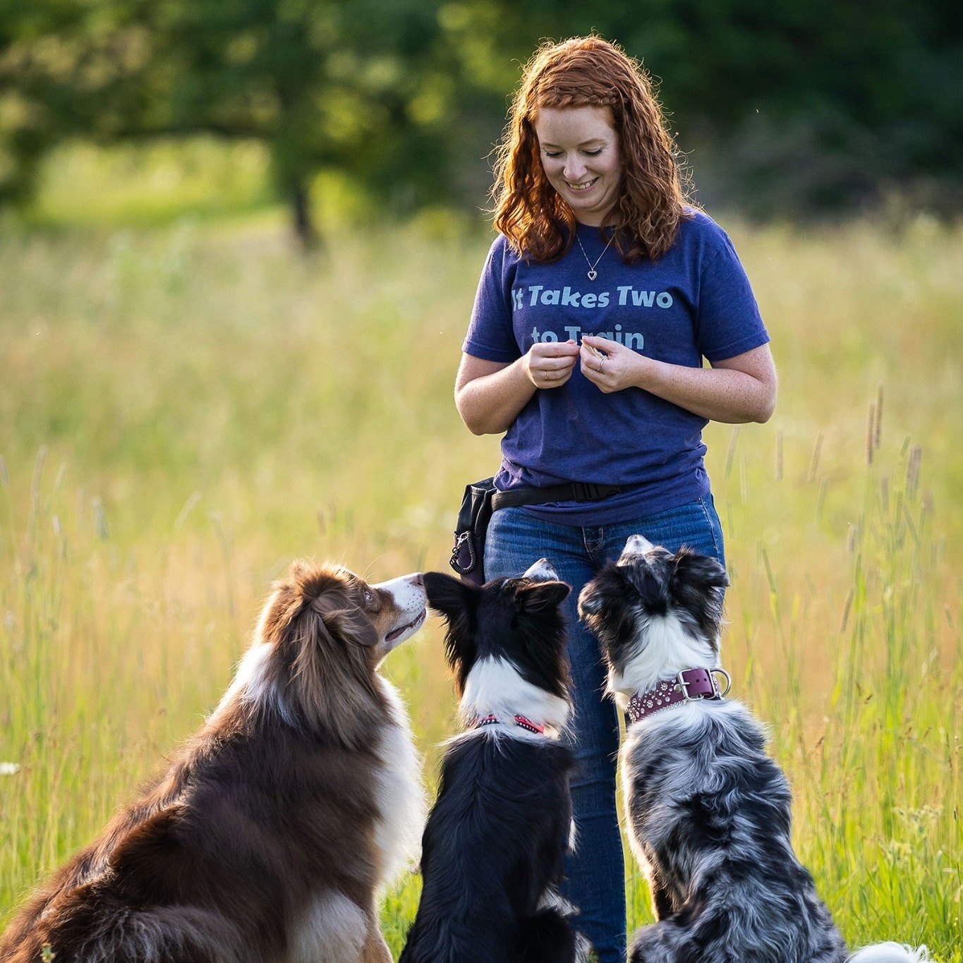 All Paws In Dog Training LLC reviews