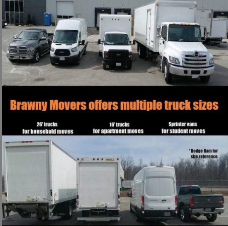 Brawny Movers photo