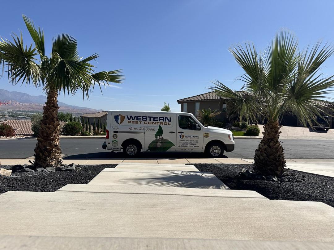 Western Pest Control photo