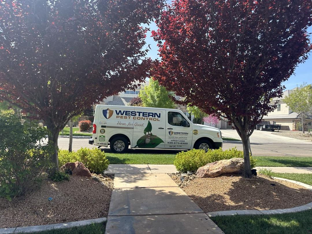 Western Pest Control photo