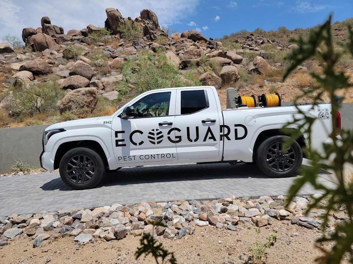 EcoGuard Pest Control photo