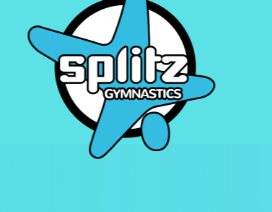 Splitz Gymnastics Centres Ltd reviews