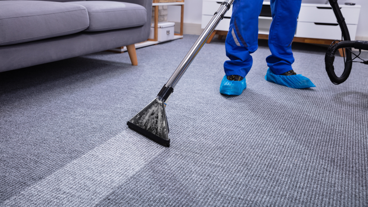 FECH Moving & Cleaning Company photo
