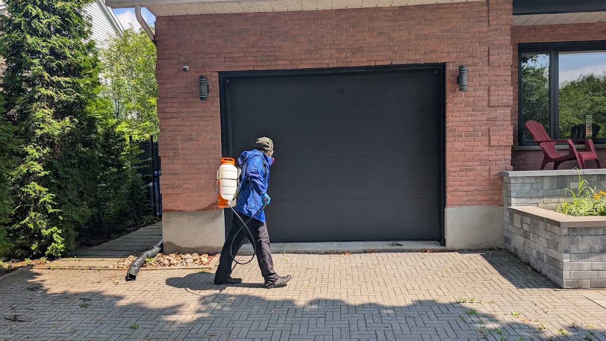 Gestion Parasitaire du Québec | Exterminateur Granby photo