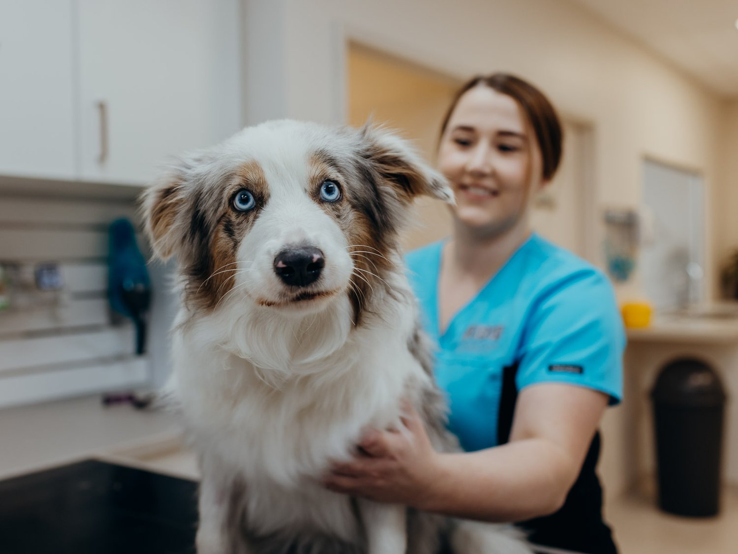 Acadia Veterinary Clinic reviews