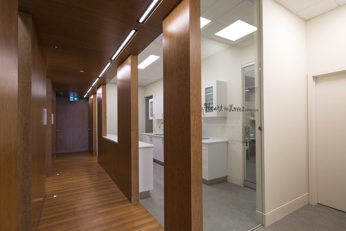 My City Dental photo