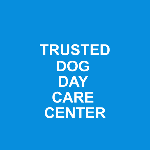 Smart Dog Dallas photo