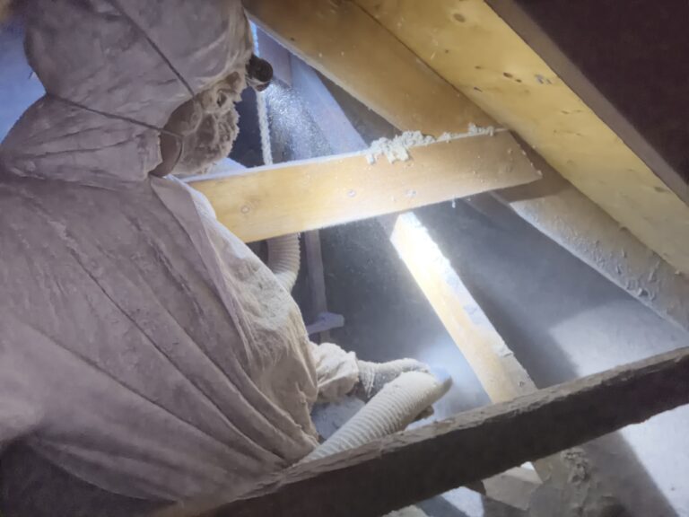 Critter Hero - Wildlife Removal photo